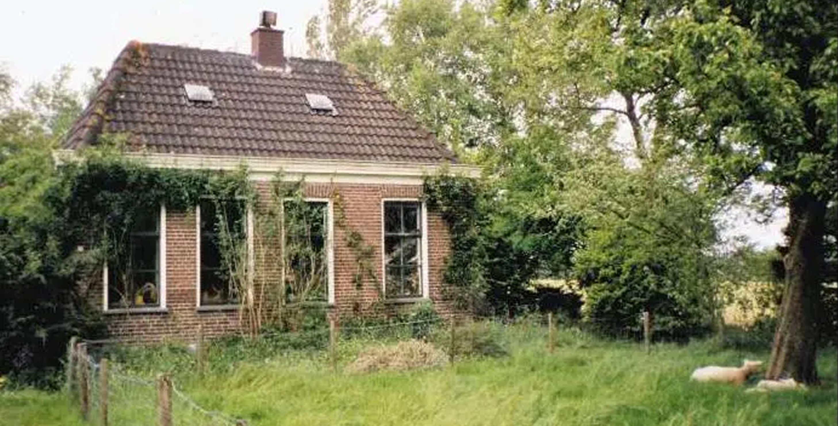 Page Content 10_content_image_1764661786890915269.jpg Onze geschiedenis	 | Mattermeppel.nl